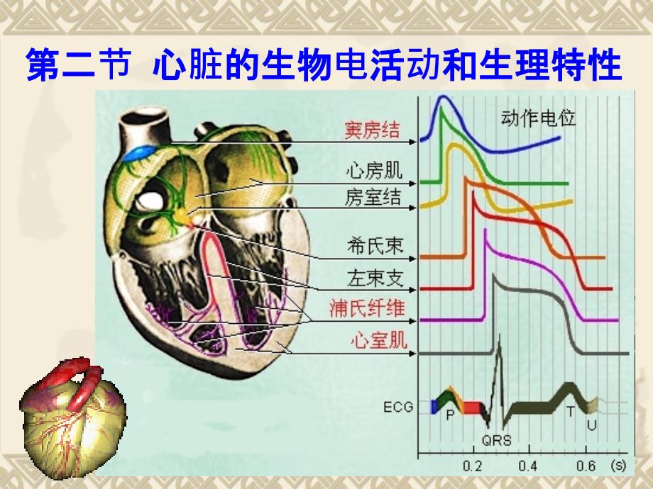 【医学ppt课件】心脏的生物电活动和生理特性_第1页