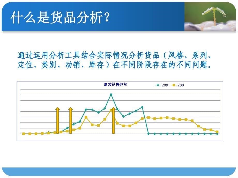 货品管理及分析 素材_第5页