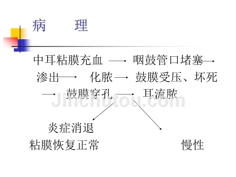 【医学ppt课件】脓耳_第5页