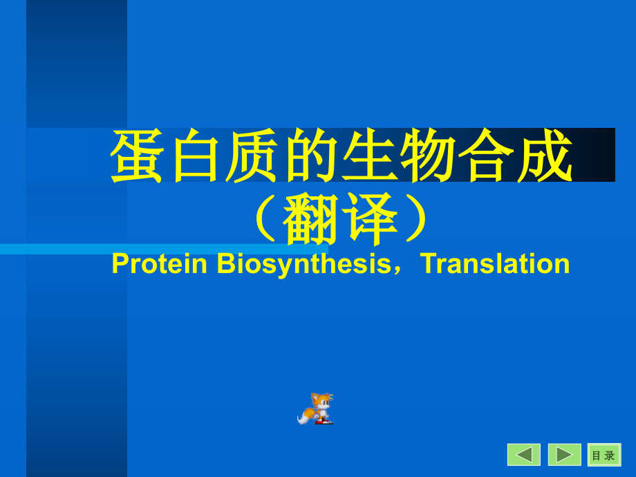 生物化学蛋白质的生物合成翻译课件_第1页