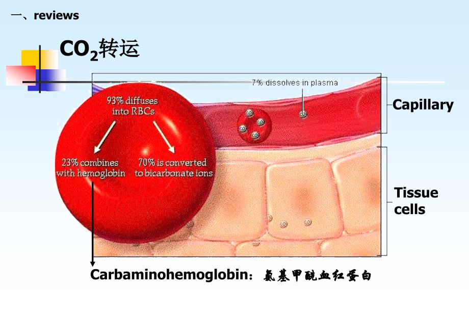 动脉血气分析 课件_1_第4页