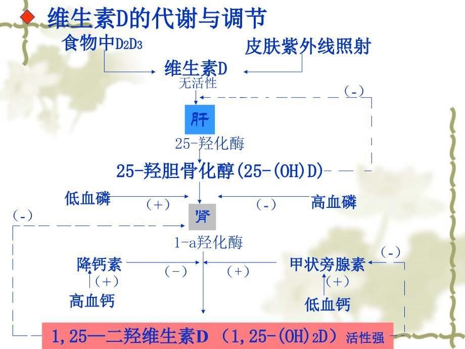 【医学ppt课件】维生素d缺乏性佝偻病_第5页