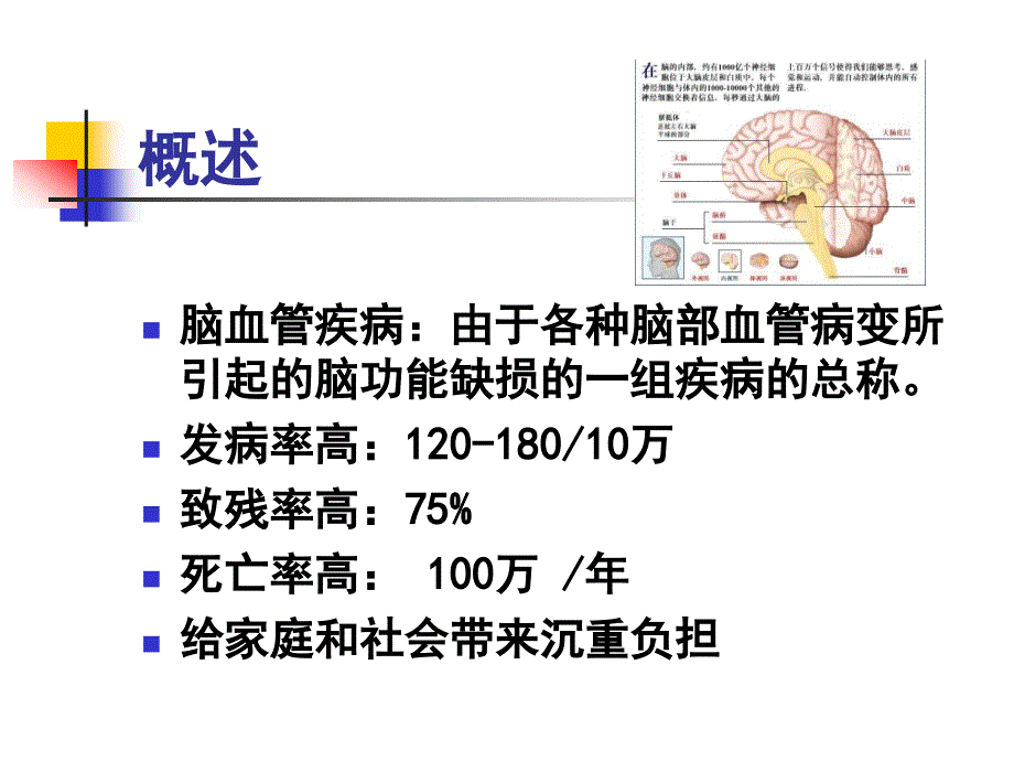 脑血管疾病cerebrovascular disease （ cvd ）课件_第2页