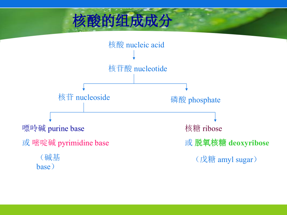 软件开发合同书.doc课件_第1页