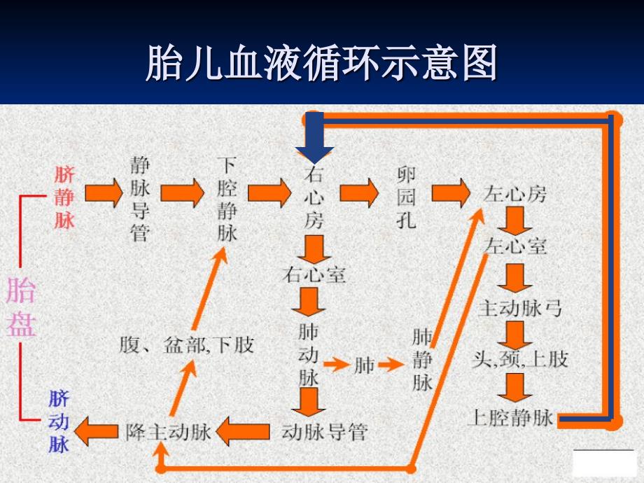 【医学课件大全】循环系统疾病_第3页