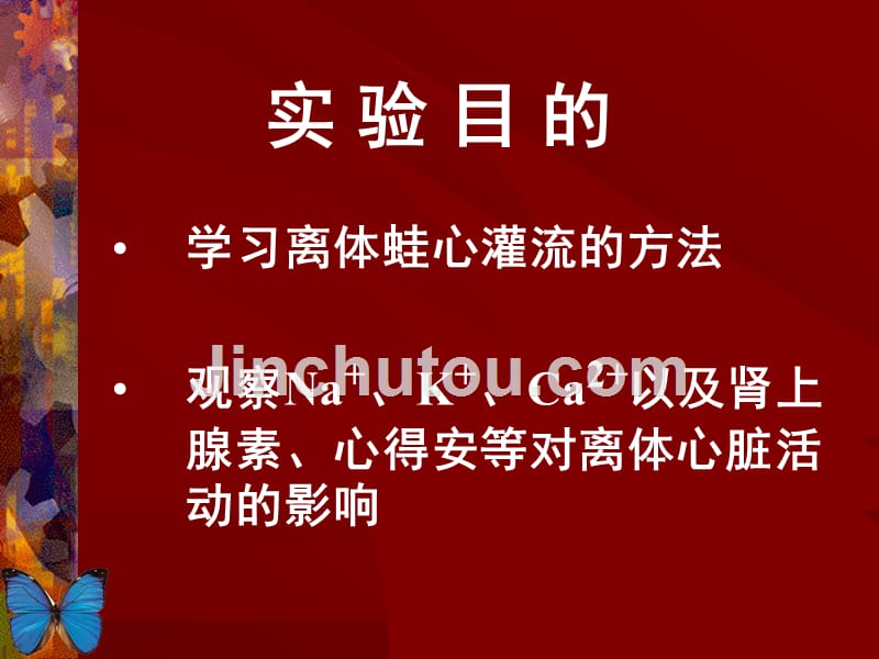 【医学ppt课件】离体蛙心灌流_第2页