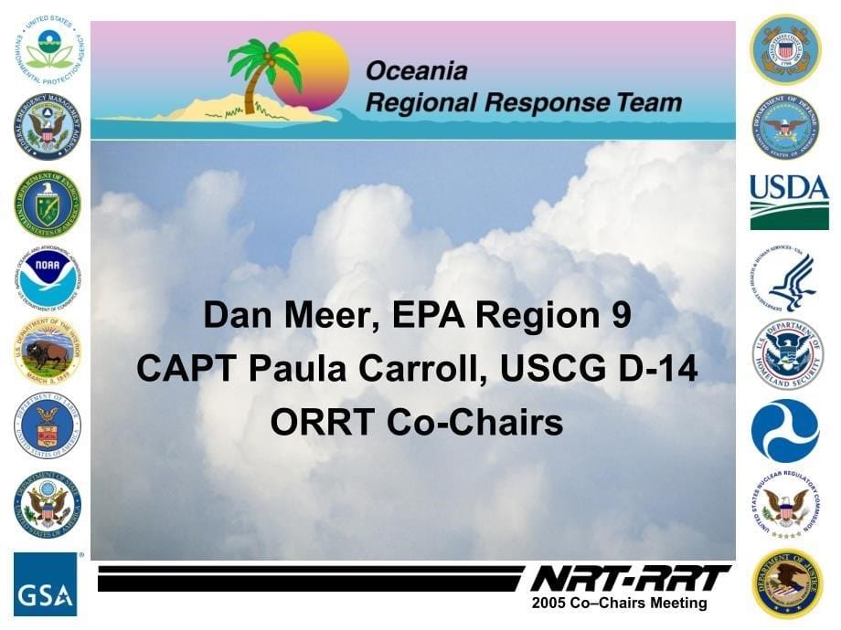【持续性肾脏替代治疗crrt英文精品课件】caribbean regional response team_第5页