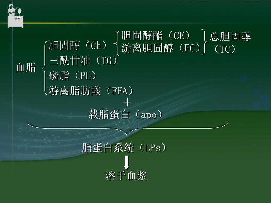 降血脂药物课件_第4页