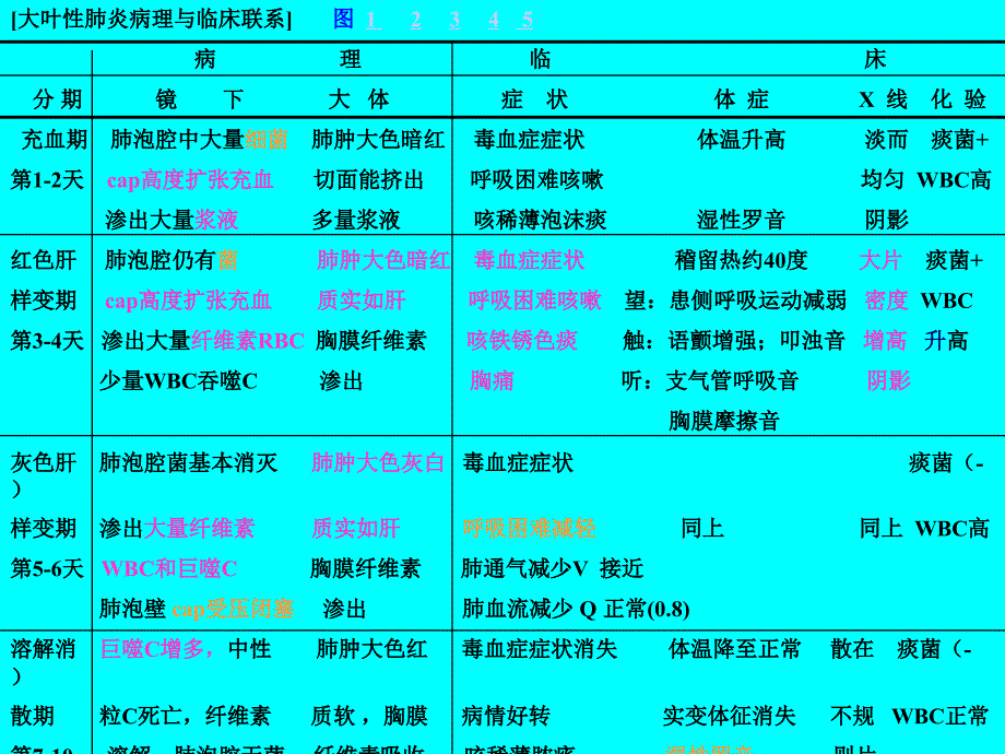 【医学ppt课件】肺炎(28p)_第4页