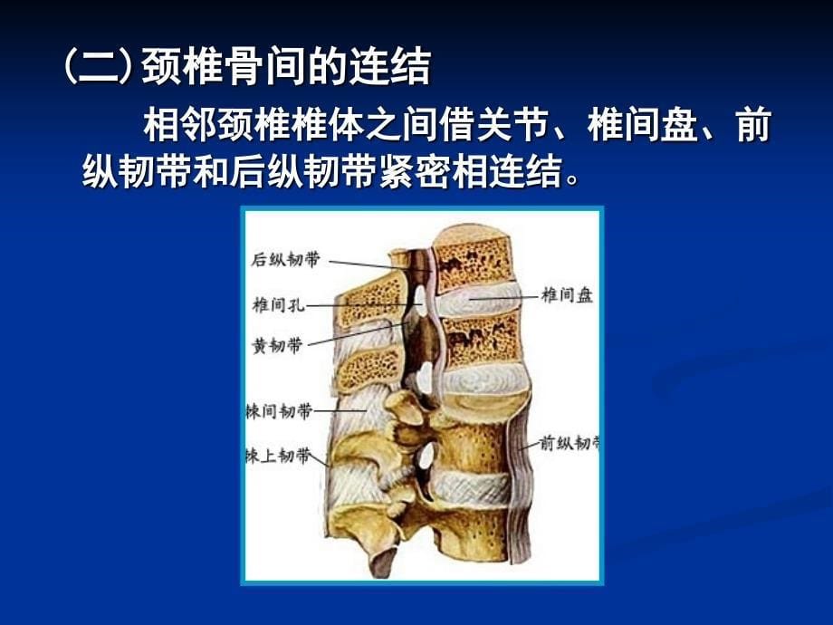 颈椎病的康复  ppt课件_第5页