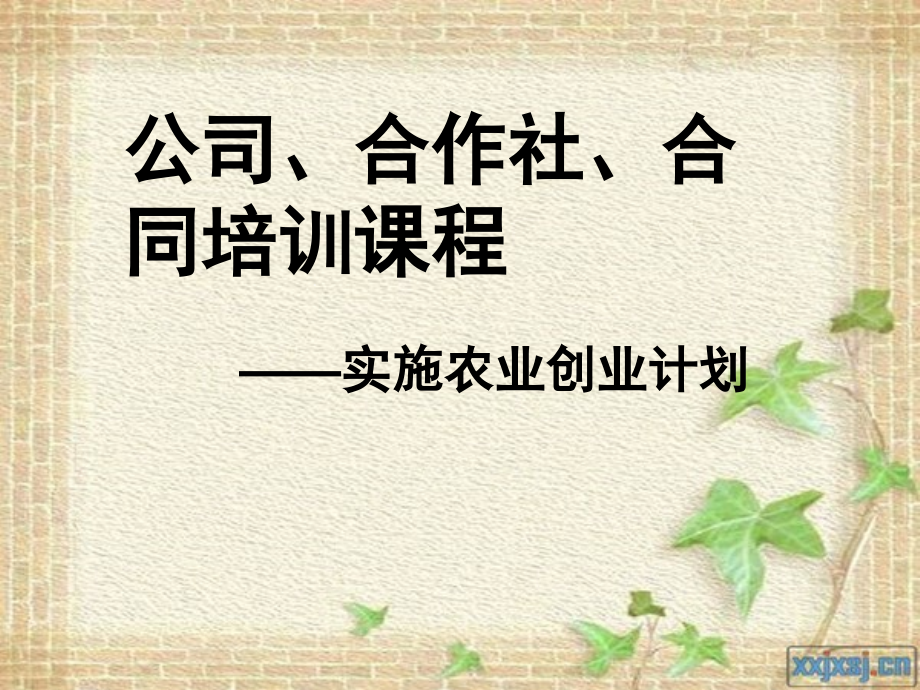 公司、合作社、合同培训课程课件_第1页