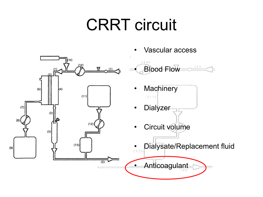 【持续性肾脏替代治疗crrt英文精品课件】regional citrate anticoagulation (rca) in crrt_第3页