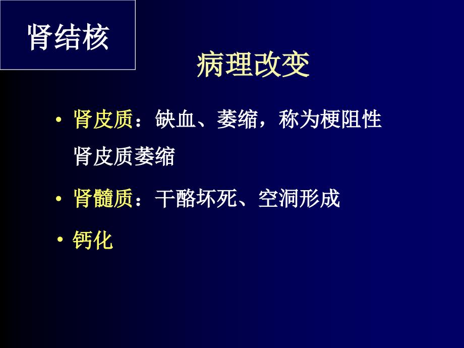 泌尿、男生殖系结核课件_第4页