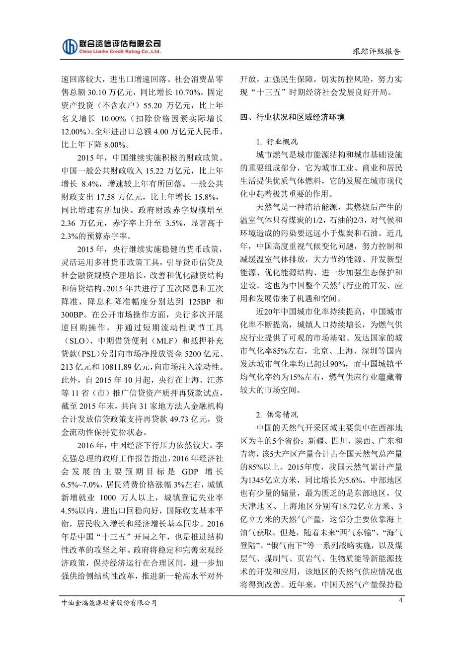 中油金鸿能源投资股份有限公司主体信用评级报告_第5页