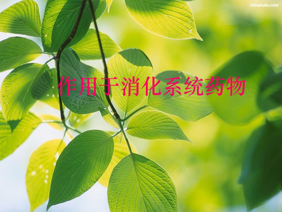 药理学作用于消化系统的药物课件_第1页