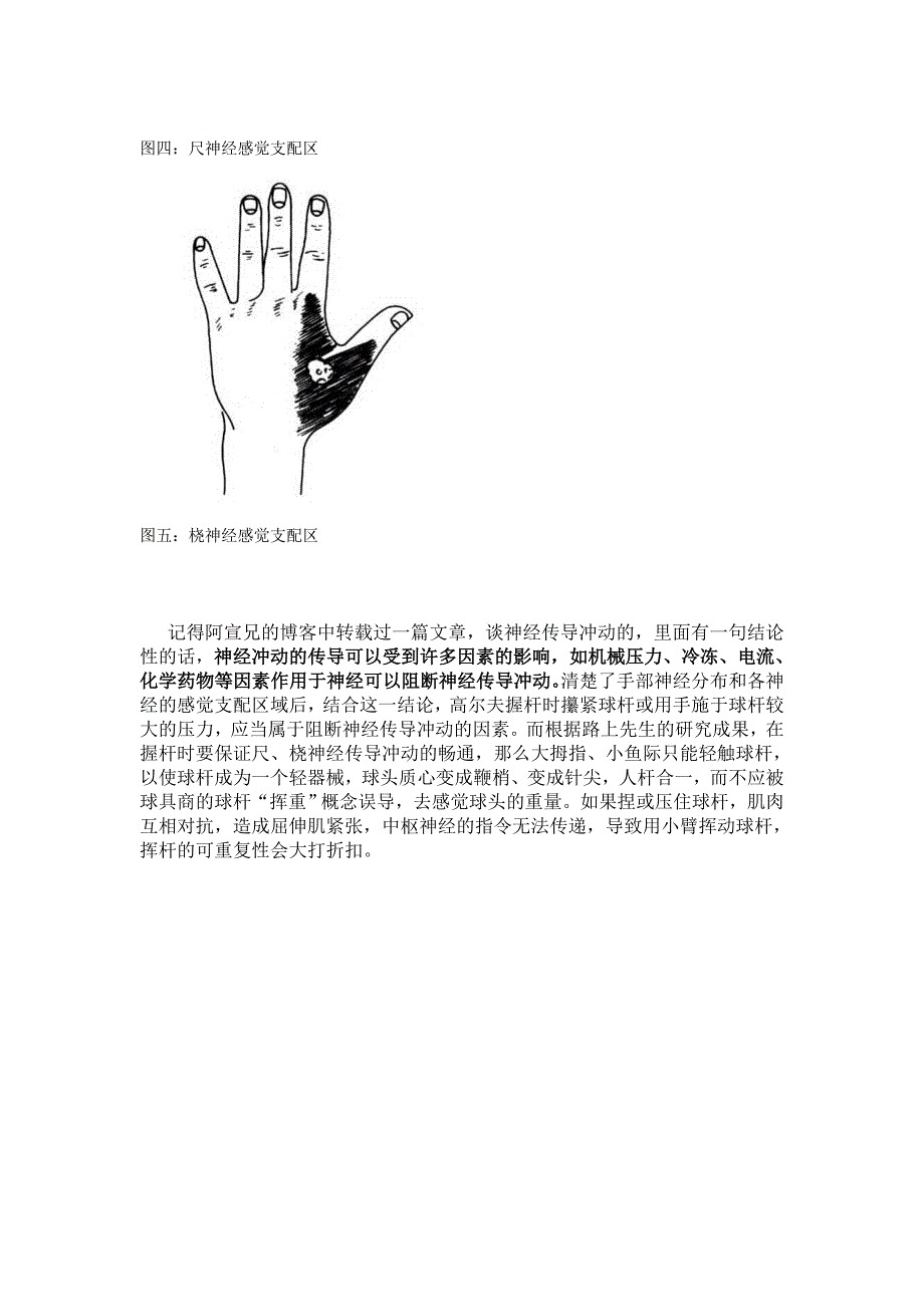 手部神经分布图_第3页