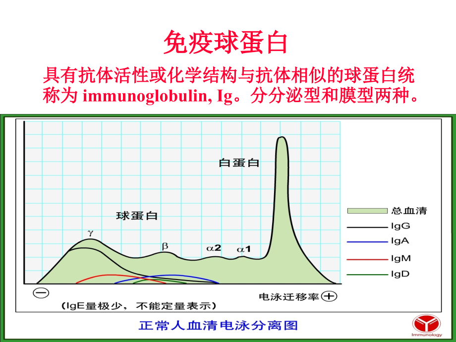 《厦门大学 免疫学课件》2：免疫球蛋白.ppt_第4页