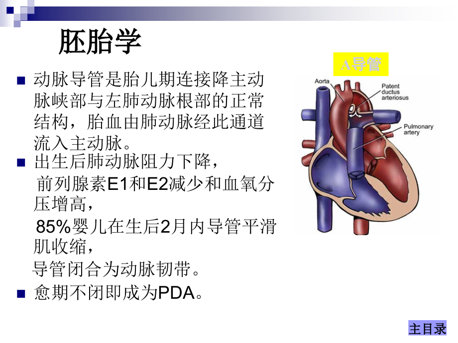 先天性心脏病的外科治疗课件_1_第4页