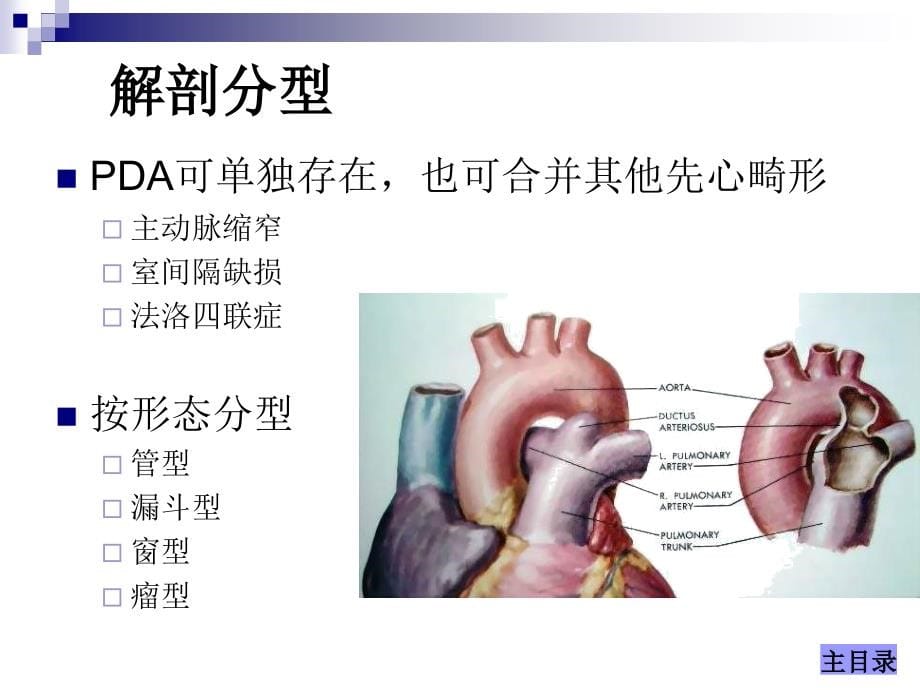 先天性心脏病的外科治疗课件_1_第5页