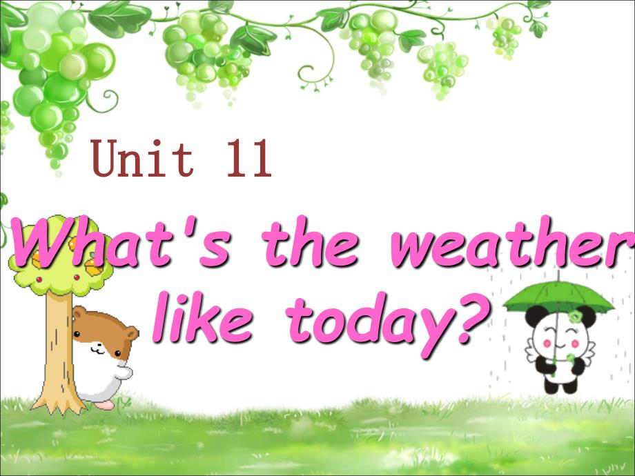 五年级上册英语课件unit 11 whats the weather like today教科版（广州深圳）_第1页