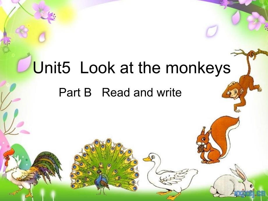 小学五年级下册unit5 look at the monkeys part b read an write课件_1_第1页
