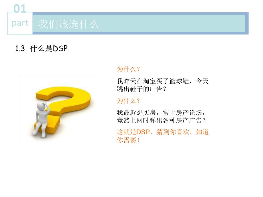 dsp推广方案_第4页