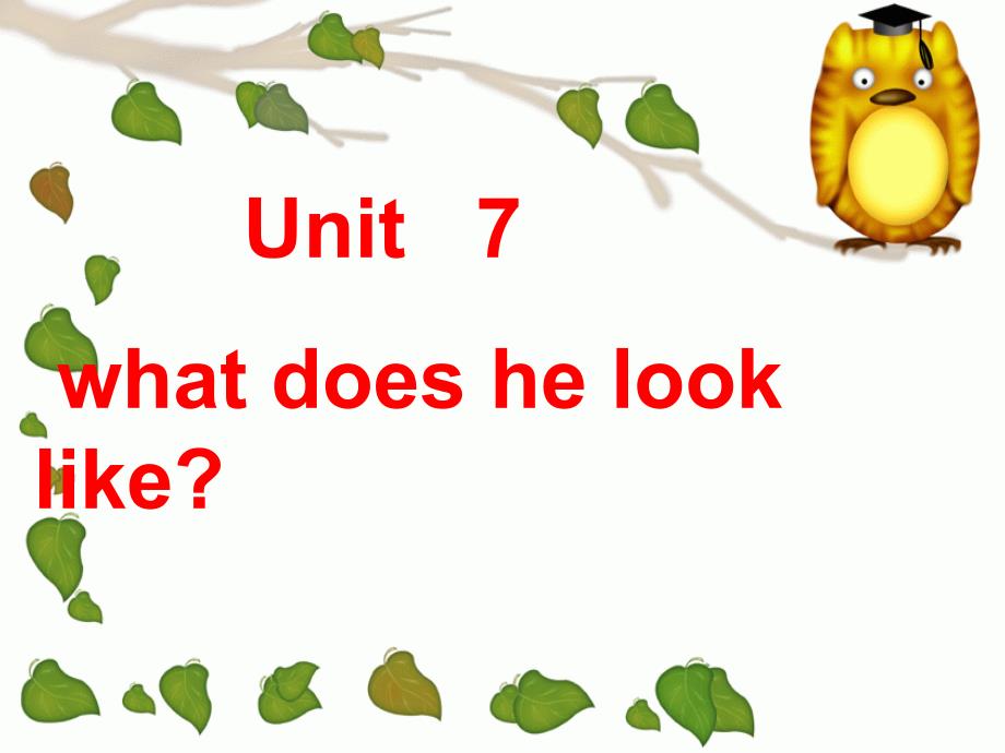 英语unit 7 what does he look like复习课件（人教新目标七年级下）_第1页