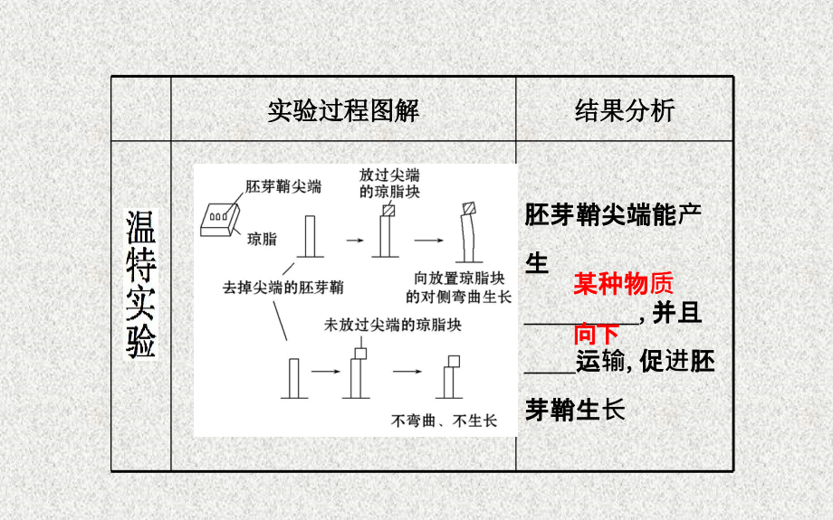 2014生物《高考专题辅导与训练》配套课件专题五_ 第1讲植物的激素调节（通用）_第3页