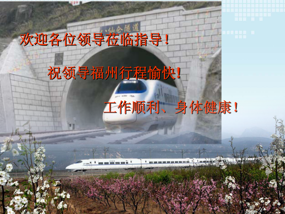 隧道双块式无砟轨道施工(福州-赵)08-5-12_第1页
