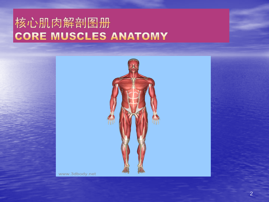 颈椎病运动康复 PPT课件_第2页