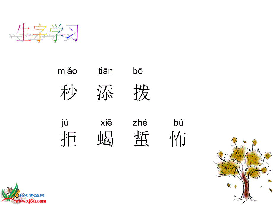 语文s版六年级上册表里的生物 课件_第4页