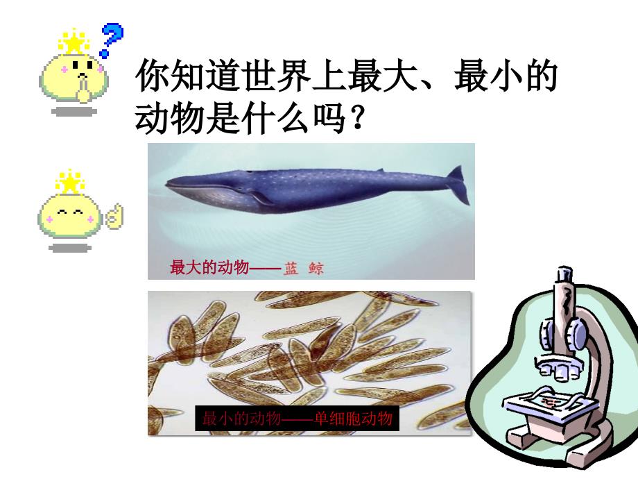 单细胞生物新ppt课件_第1页