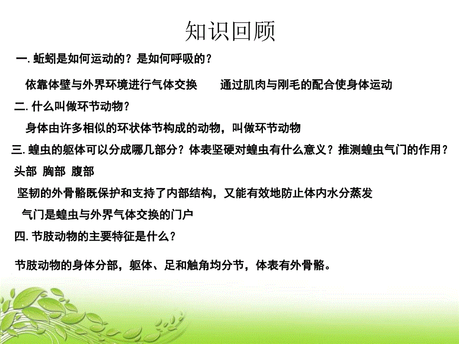 脊椎动物的主要类群鱼类两栖类和爬行类济南版2ppt课件_第2页