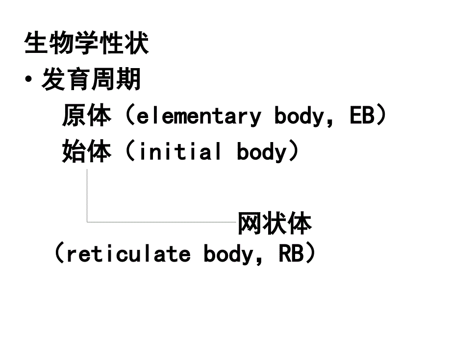 医学ppt课件大全衣原体_1_第4页