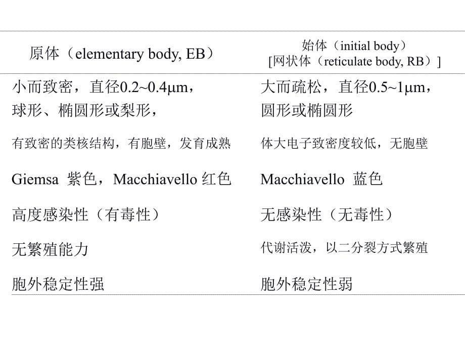 医学ppt课件大全衣原体_1_第5页