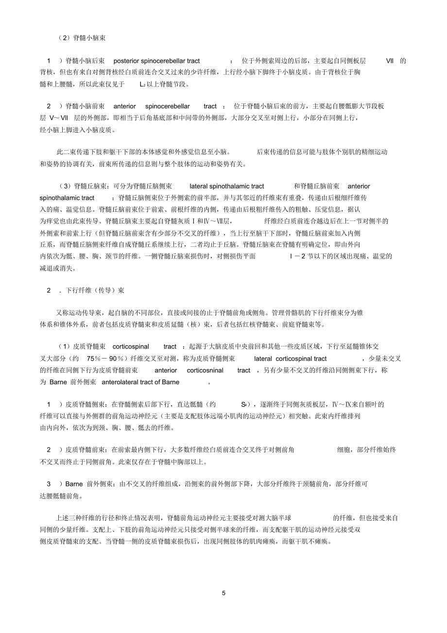 新世纪教材系统解剖学_第5页