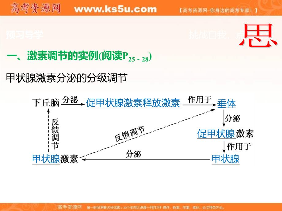 江西省吉安县第三中学人教版高中生物必修三课件：2.2 通过激素的调节（三） _第3页