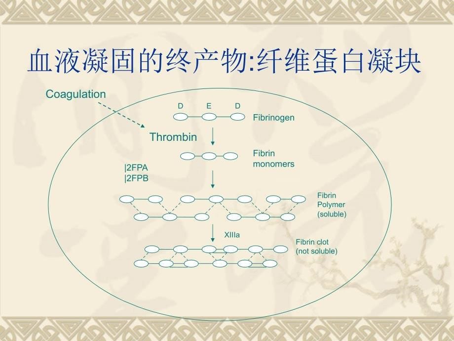 医学课件d二聚体（fdps）检测在排除vte诊断中的价值_第5页