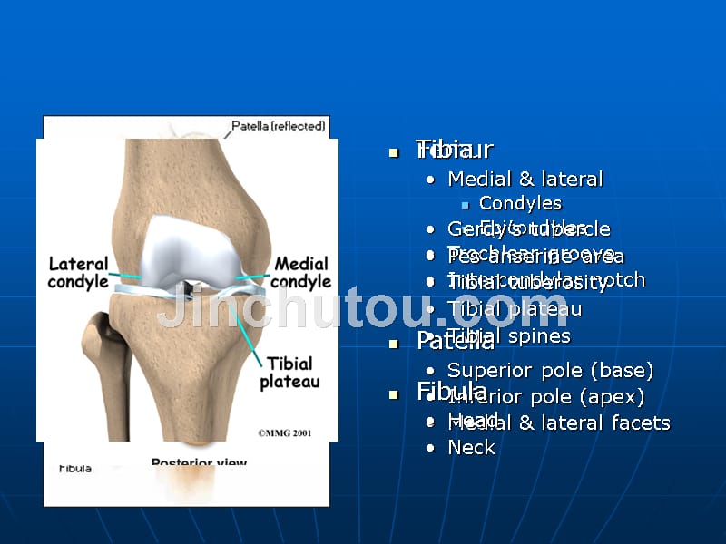 膝关节运动损伤ppt课件_第4页
