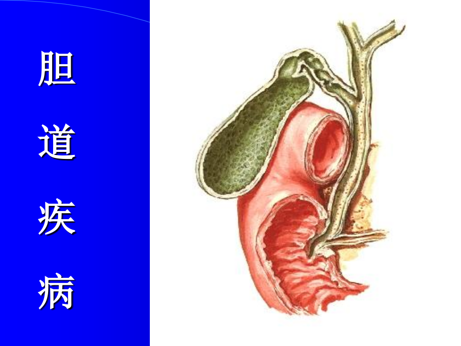 医学ppt课件胆道疾病_第1页