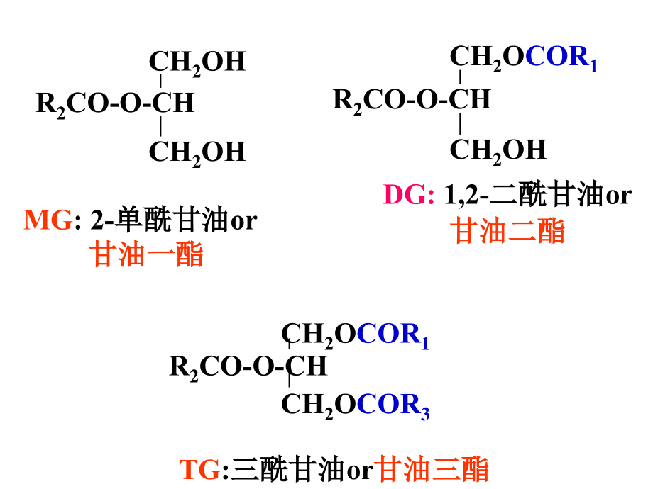 生物化学脂类代谢ppt课件_第3页