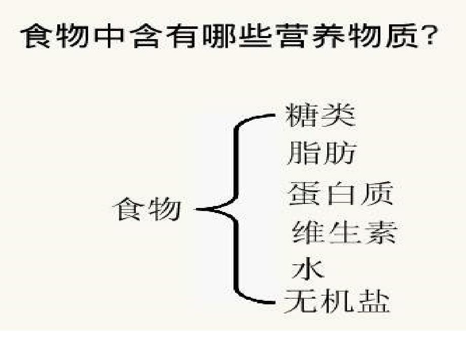 人教版七年级下册第四单元21食物中的营养物质ppt课件_第4页