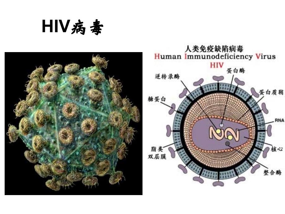 是什么意思ppt课件_第1页