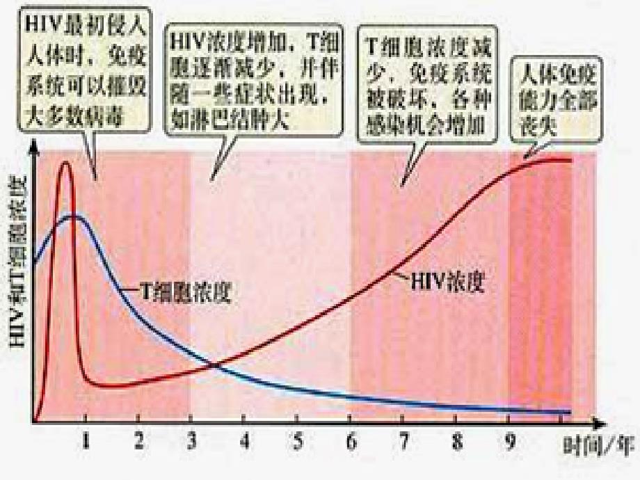 是什么意思ppt课件_第3页