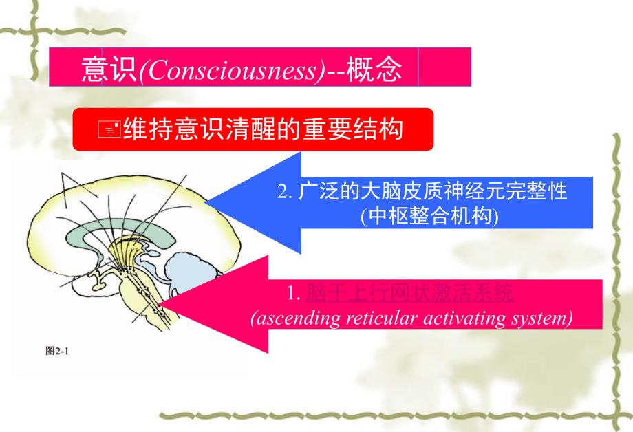 意识障碍的急救流程_1_第3页