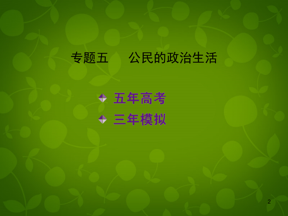 高考政治_专题五_公民的政治生活课件_第2页