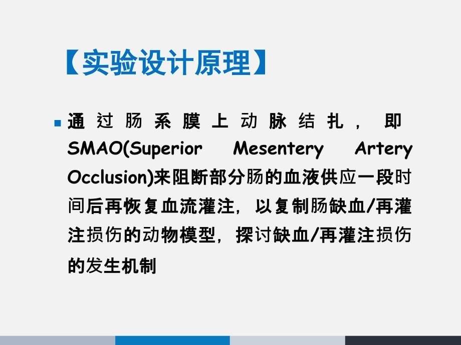 机能实验家兔肠缺血再灌注损伤ppt课件_第5页