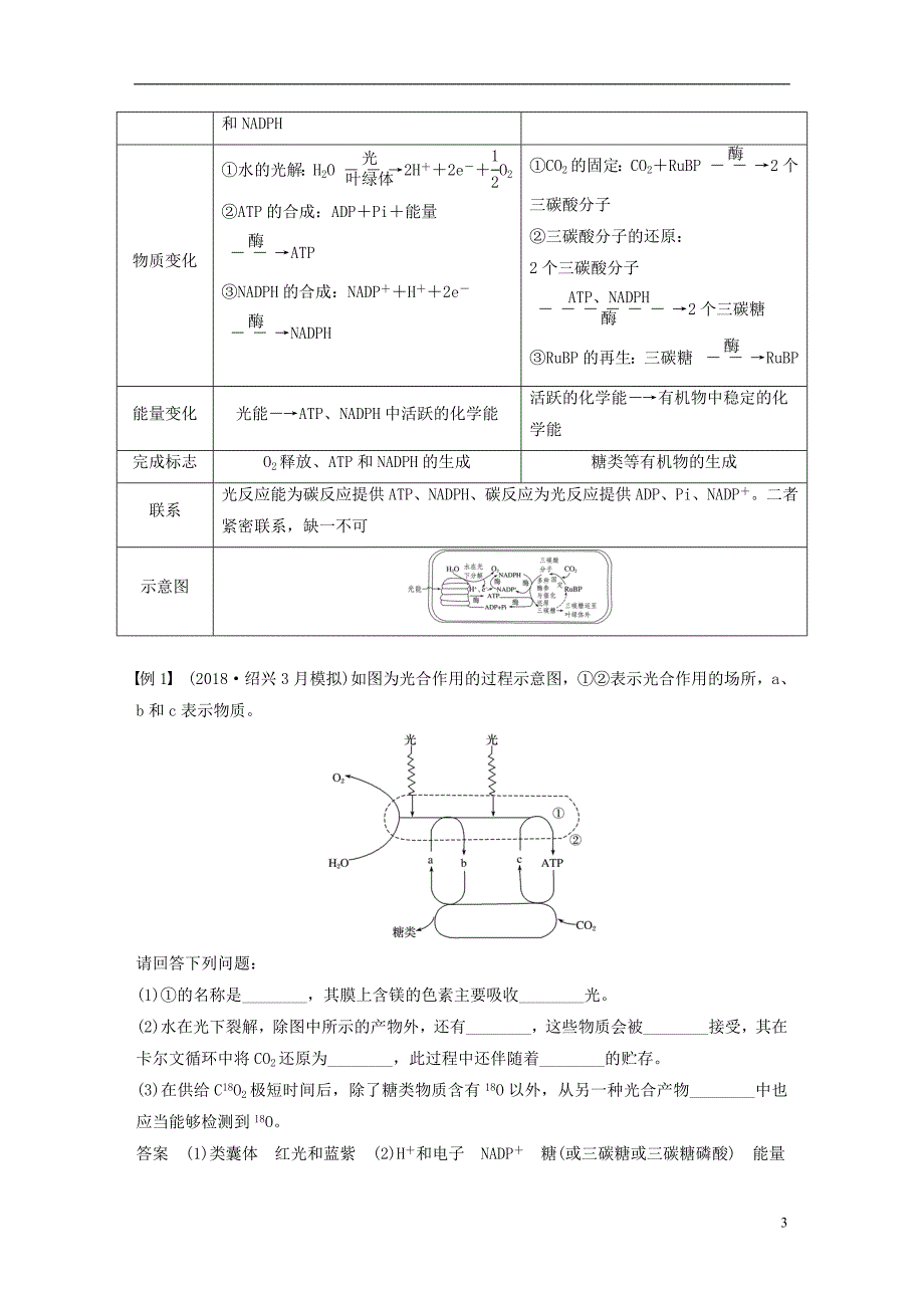 2018-2019版高中生物 第三章 细胞的代谢 第五节 光合作用 第2课时学案 浙科版必修1_第3页