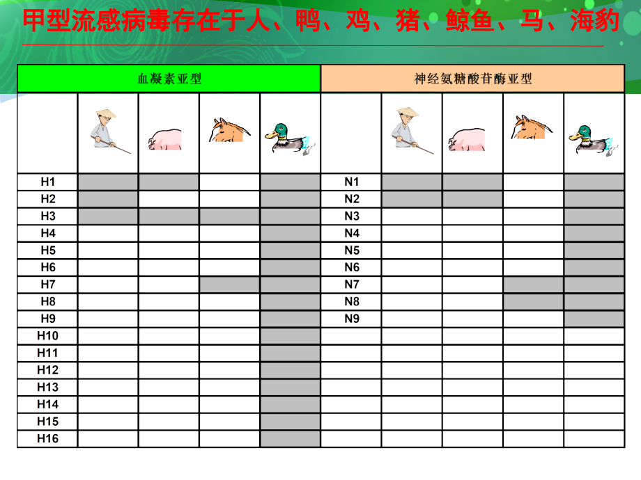 医学课件甲型（h1n1）流感防控_第4页