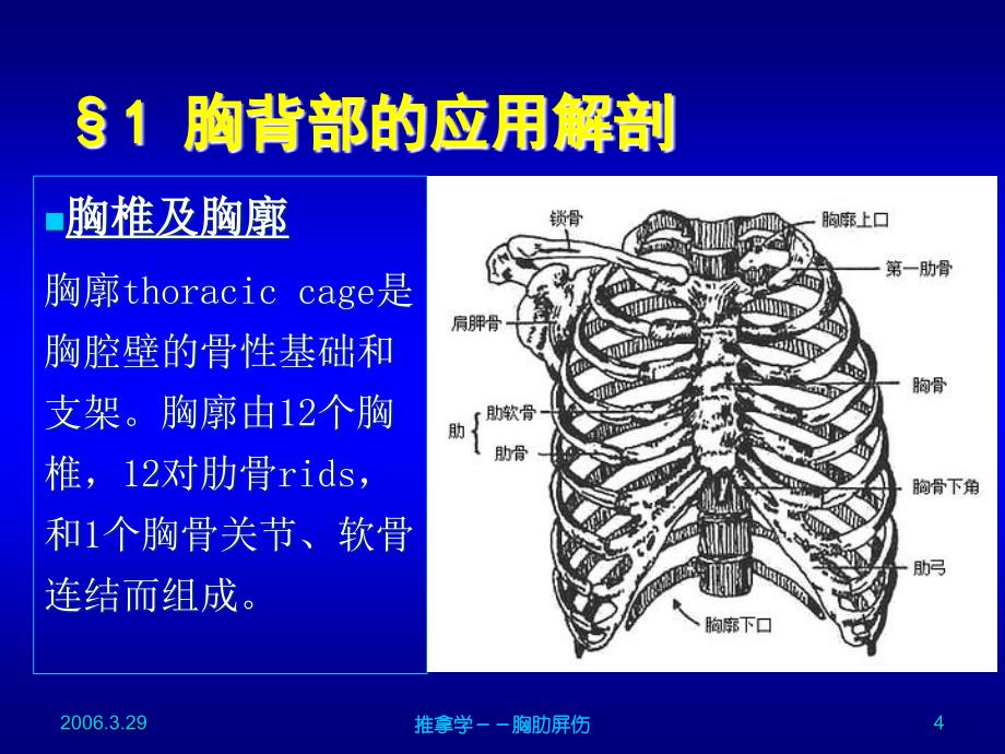 胸胁屏伤ppt课件_第4页